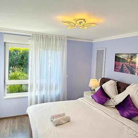 Charming Apartment With Garden, Free Parking Near Basel, Airport, Ger'Many, France, 생루이 외부 사진